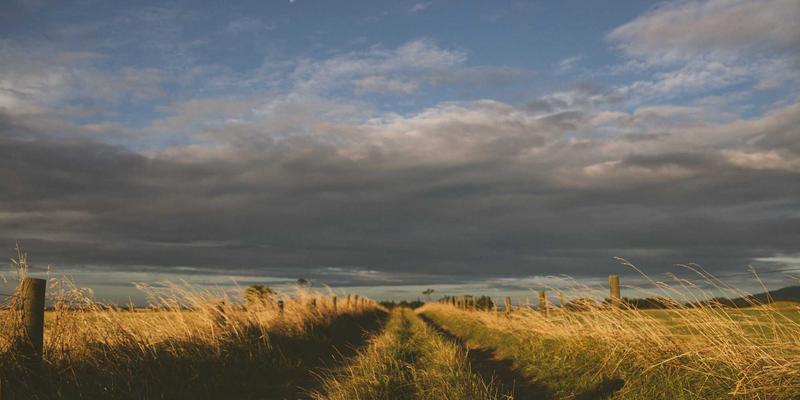 从下单到售后：深度解析嘉泽乐绿色护肤的卓越服务全流程与真实体验