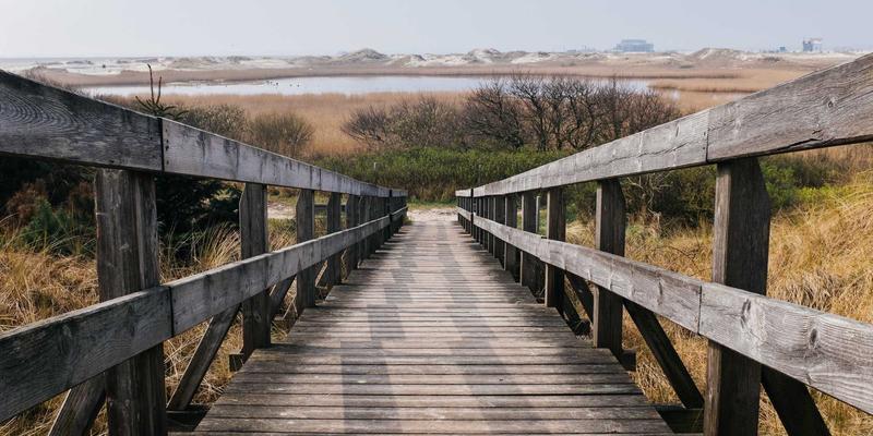 从实验室到肌肤：嘉泽乐研发团队专访，揭秘绿色护肤与未来主义背后的创新密码