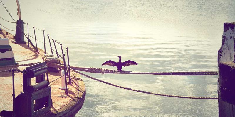 从肌肤到地球：嘉泽乐如何以可持续之美重塑美容护肤行业