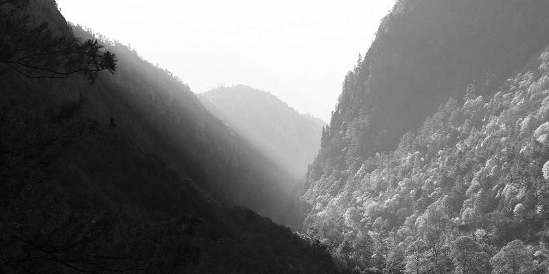 嘉泽乐品牌故事：从实验室到梳妆台，如何用科学美妆方案重塑行业标准