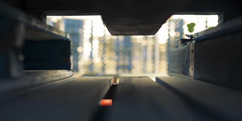 嘉泽乐唇部护理全评测:从天然润唇膏到精华,揭秘柔嫩双唇养成术