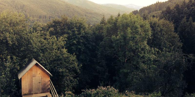 孕期哺乳期护肤安全指南：嘉泽乐教你避开风险成分，精选天然护肤品与彩妆